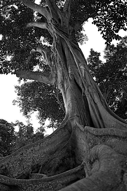 Reach for the Sky