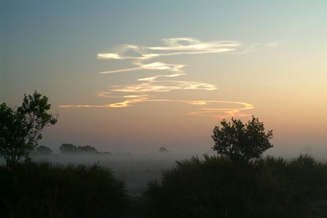 DSCF4911.jpg