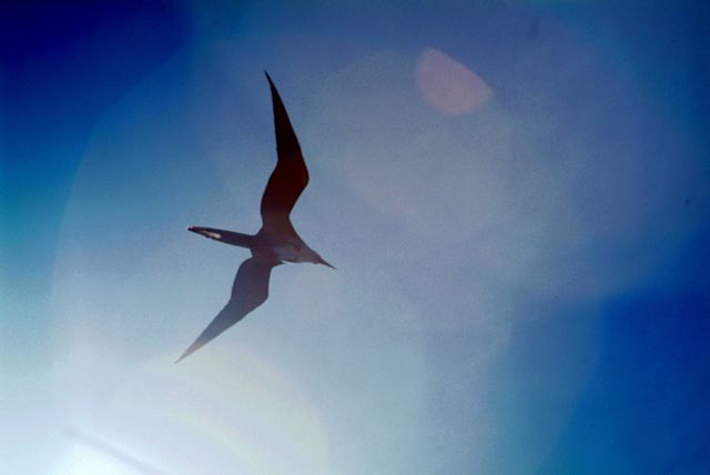 "Flare" for Flying