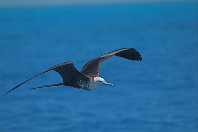 Surveying His Ocean Kingdom