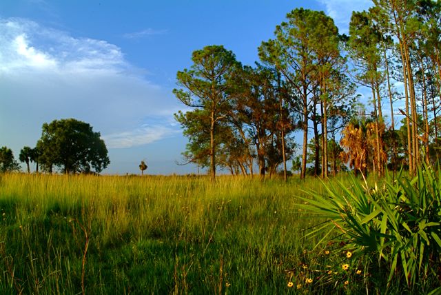 Florida Backroads 8