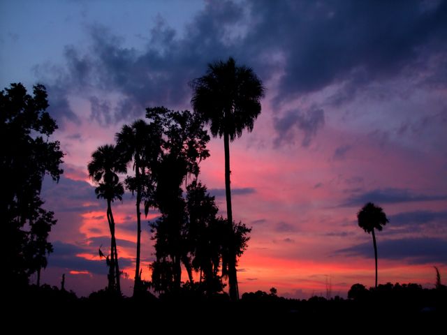 Another Tropical Sunset 45