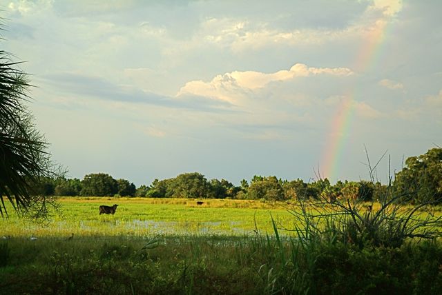 Rural Front Page News