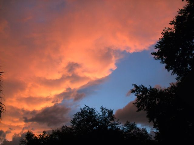 DSCF8347