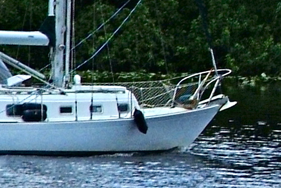 Cropped to 550 px wide