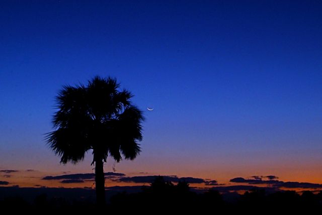 Another Tropical Sunset 59