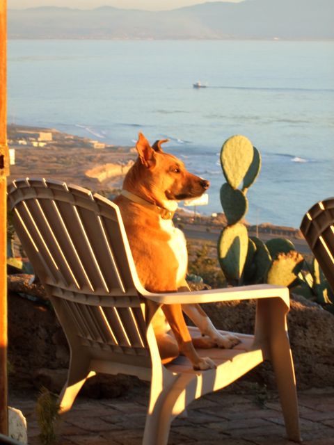 Sunset Watcher