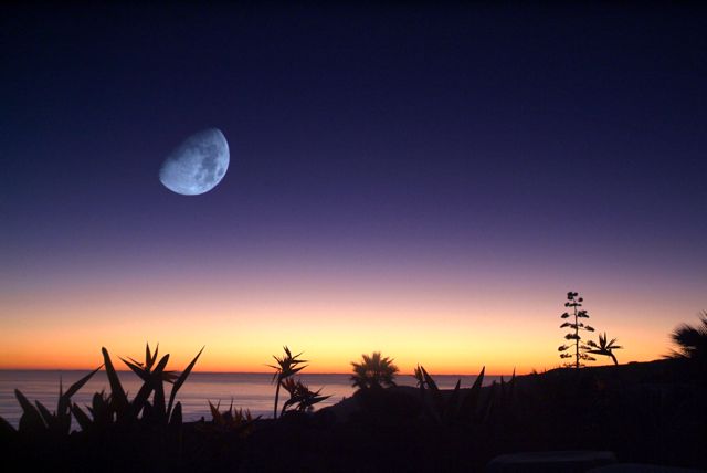 Pacific Moon
