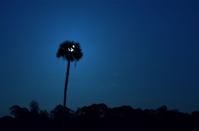 Dodging the Moon. 