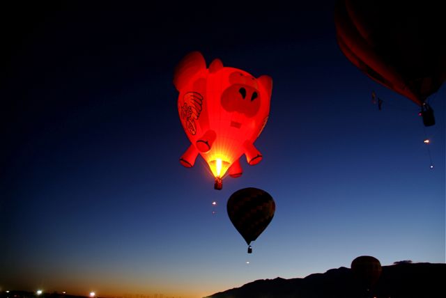 When Pigs Fly