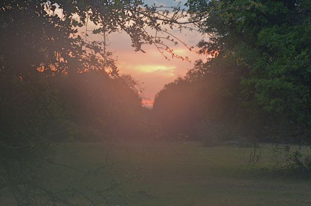 Another Tropical Sunset 75