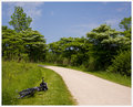 Des Plaines River Trail, Illinois - Rest