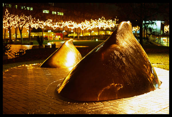 SeattleCenter-orcas .jpg