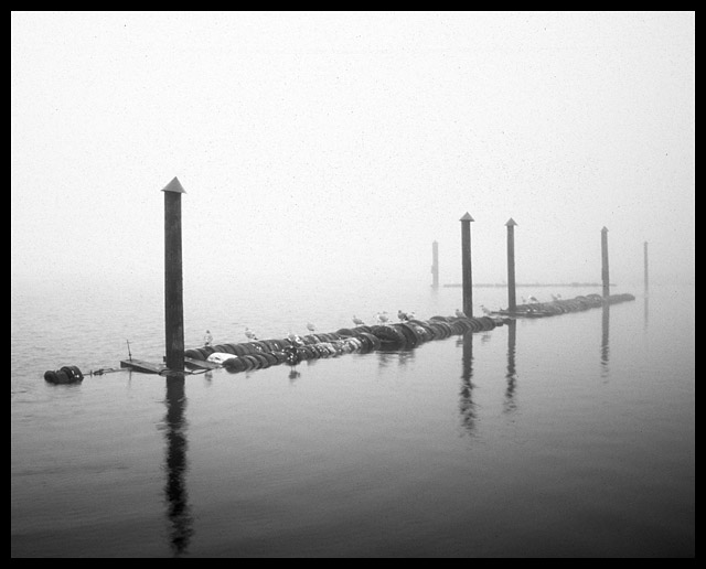 harstine morning 2