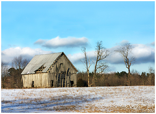 lonely barn