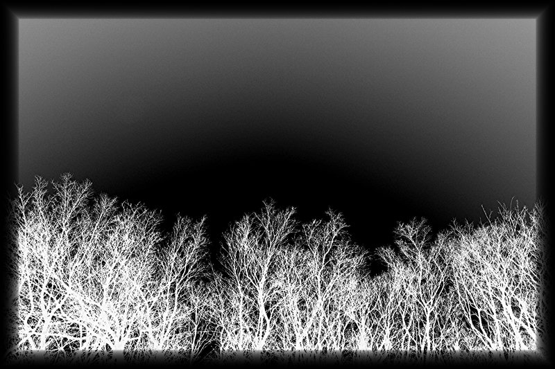 cool tree´s