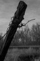 fence post