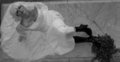 100_0500.JPG