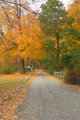 APAW-1-Original-1253.jpg