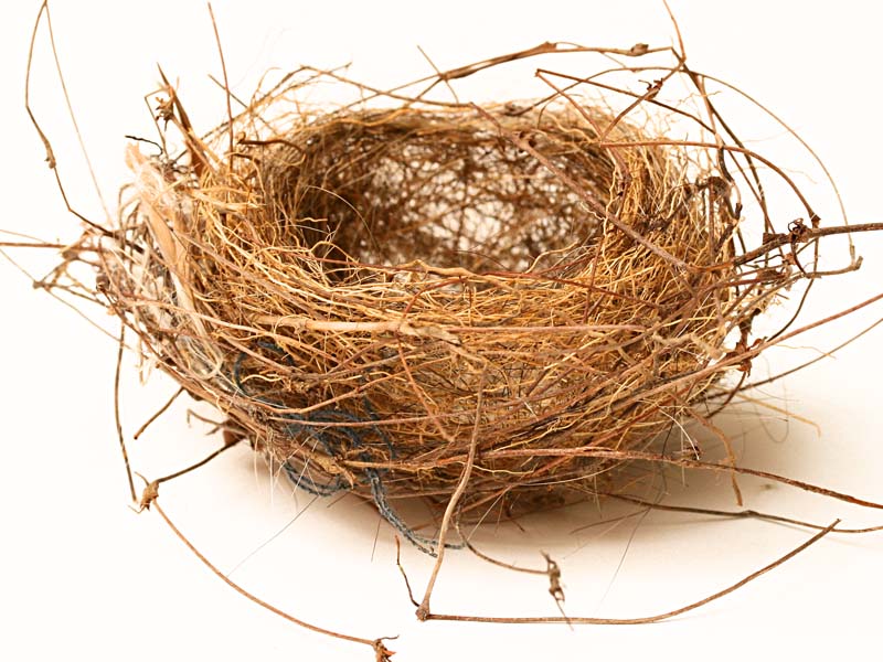 NestFull