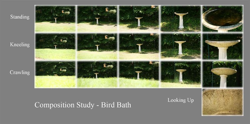 Composition Study - Bird Bath