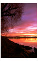 sunrise1.jpg