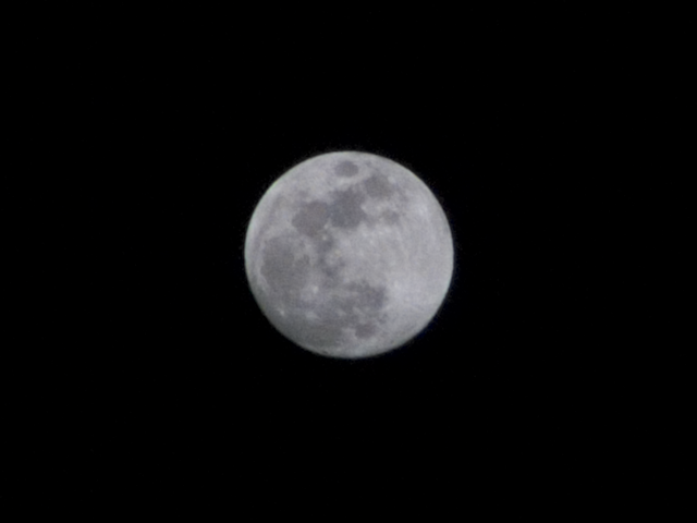 DSCF0789.png