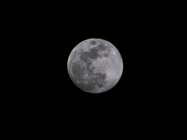 DSCF0811.png