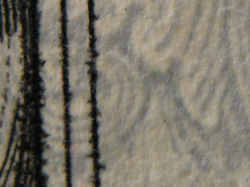 MacroTest2.jpg