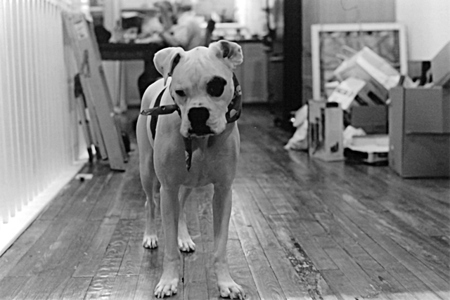 BW-3.jpg