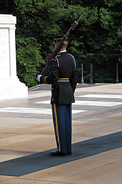 IMG_1650.jpg
