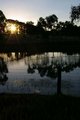 Sunset on the Damn