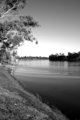 Murray River B&W