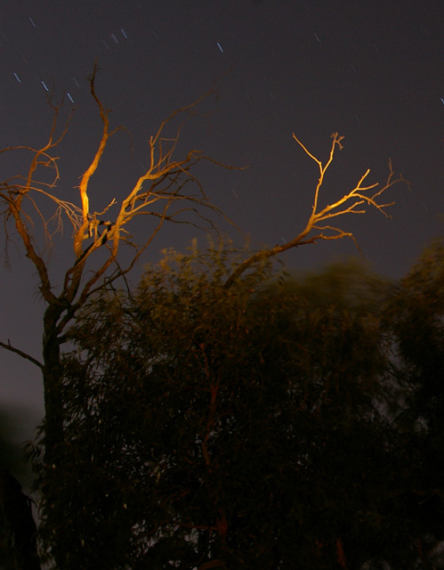 Shooting Stars