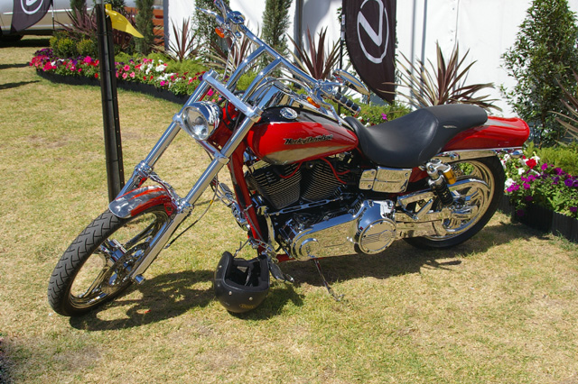 New Harley Davidson