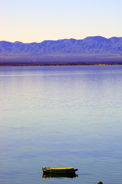 Tranquil