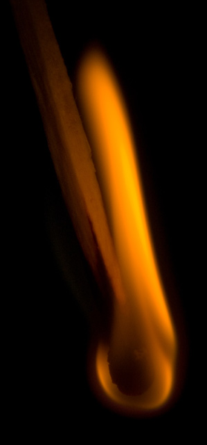 Fire and Gravity