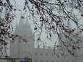 Temple