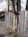 Ski Fence Day 5