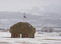 The Jackson Hole Smurf House Day 11