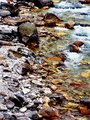 Rocks Edit Day 10