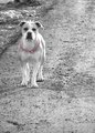 Mocha Edit Day 12