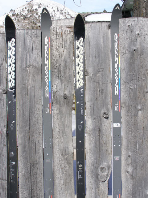 Ski Fence 3