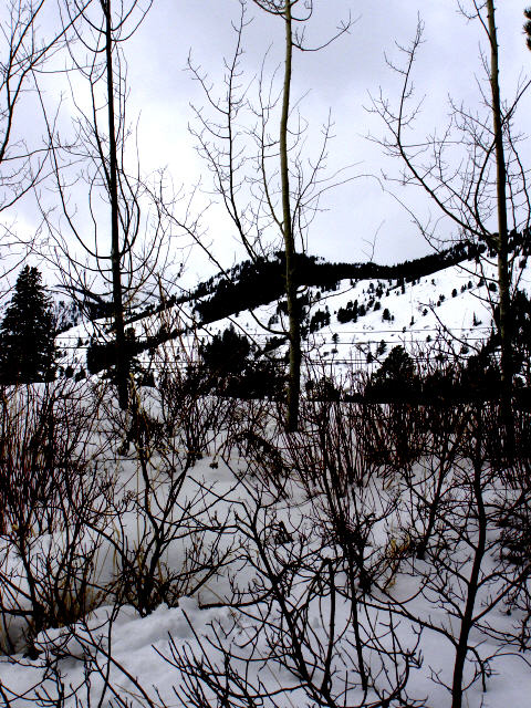 Teton Village