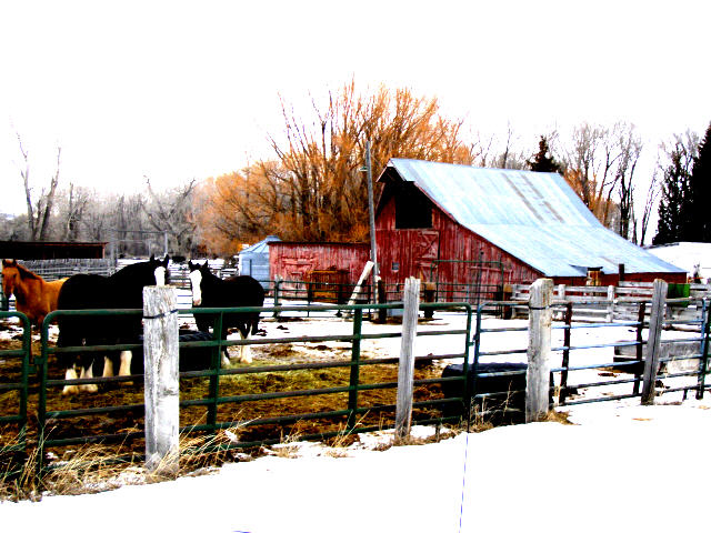 A Barn