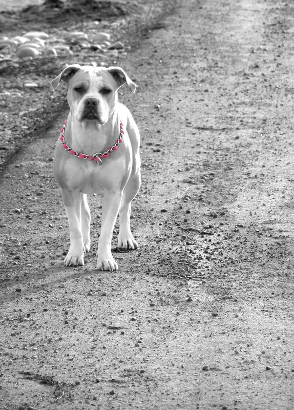 Mocha Edit Day 12