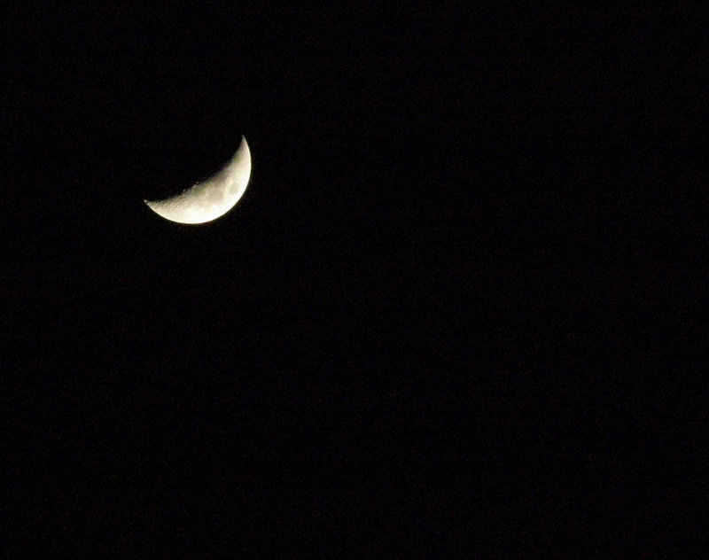 Moon