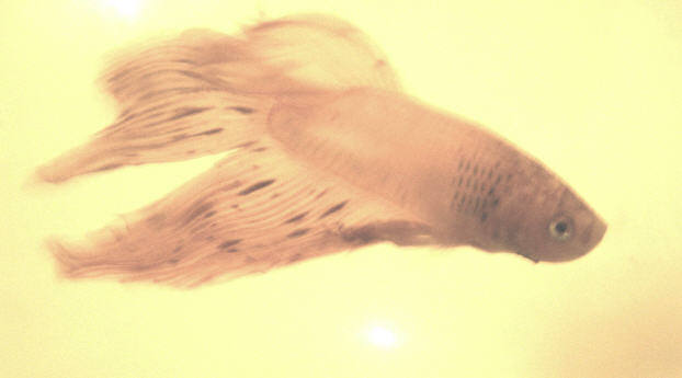 Day 11
