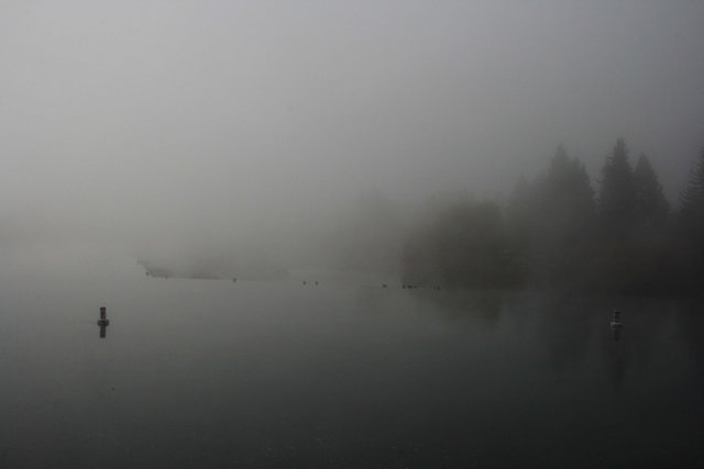 Misty Morning 