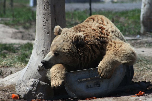 Relaxing